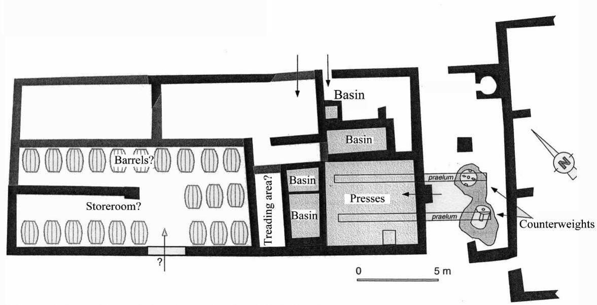 Plan, S. Cucufate